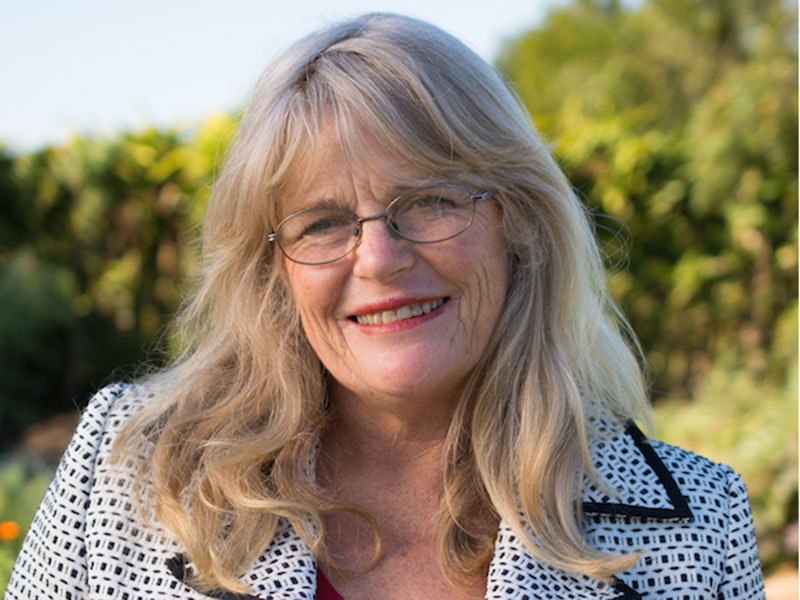 Jeanette Martin, Greens candidate for Byron Shire Council, 2016
