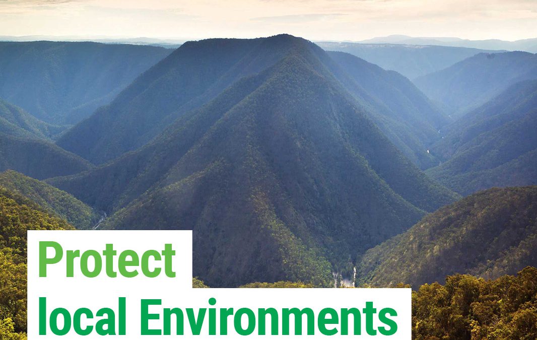 Protect the environment and biodiversity