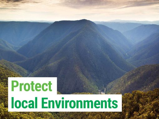 Protect the environment and biodiversity