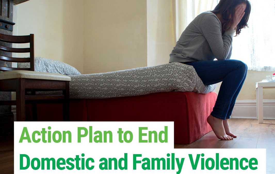 Action Plan to end Domestic and Family Violence