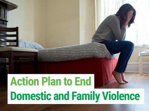 Action Plan to end Domestic and Family Violence