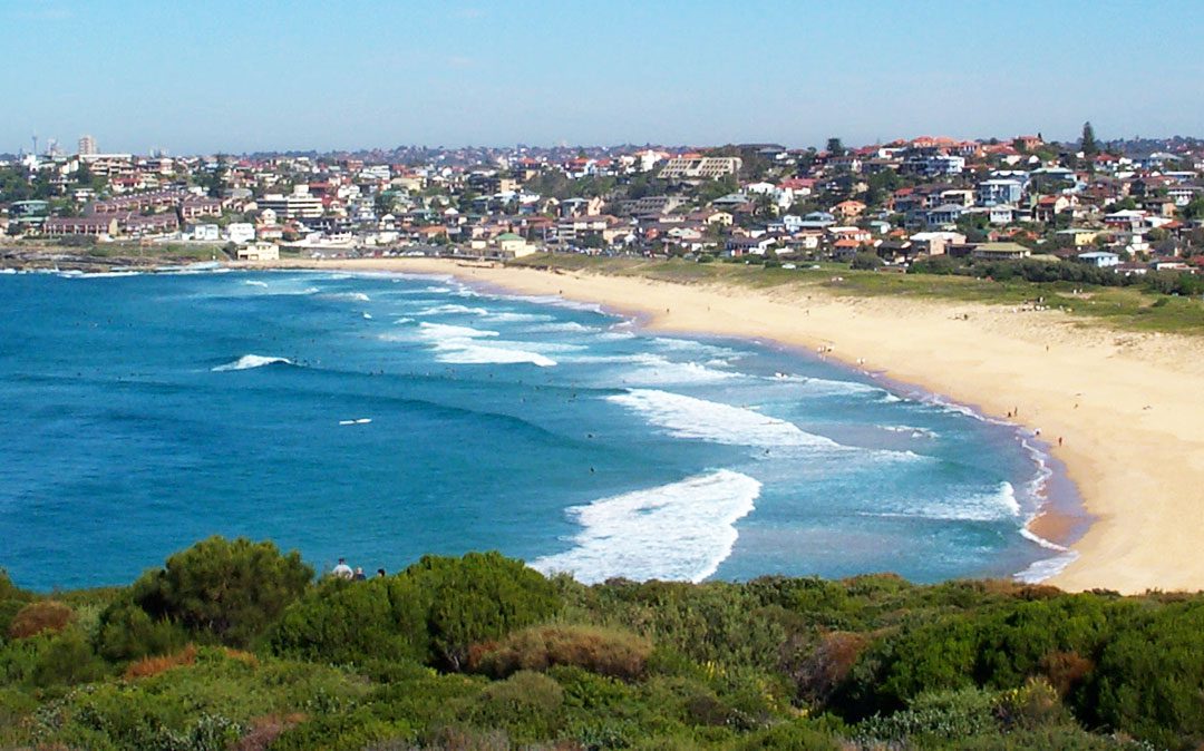 Our Plan for Curl Curl Ward